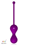 Smart Kegel Master Balls Smart Kegel Master Balls