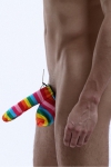 Cache-sexe multicolore Cache-sexe multicolore