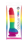 Gode spécial Pride Edition 26cm Gode spécial Pride Edition 26cm